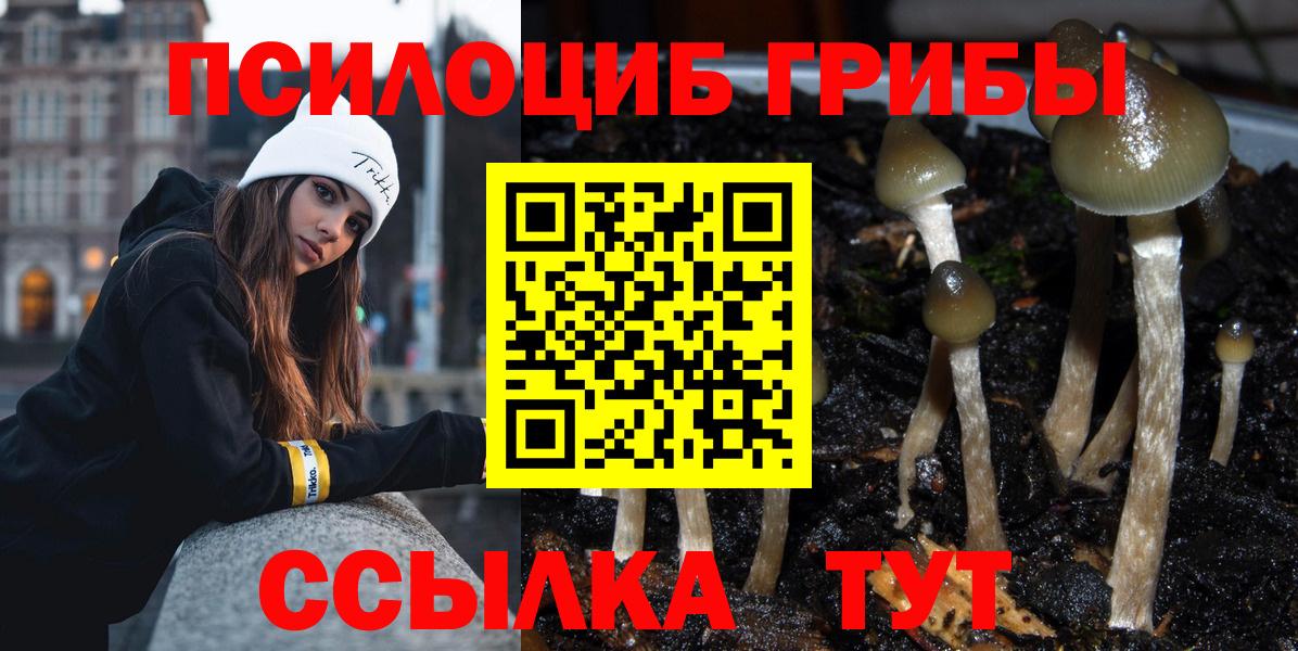Галлюциногенные грибы GOLDEN TEACHER  Псилоцибиновые грибы ЛСД  Армавир  Вход с VPN 